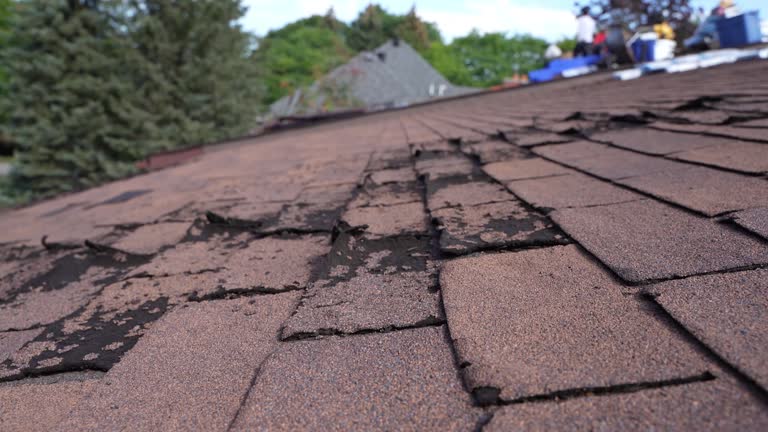 Best Roof Leak Repair  in New Lebanon, OH